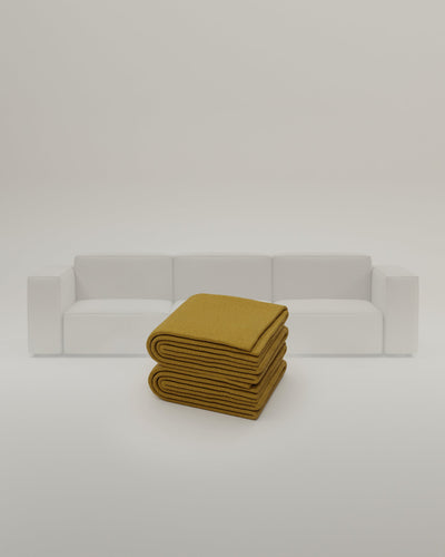 Mustard-Linea