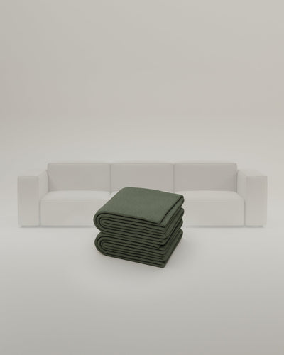 Turtle-Linea