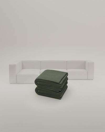 Turtle-Linea