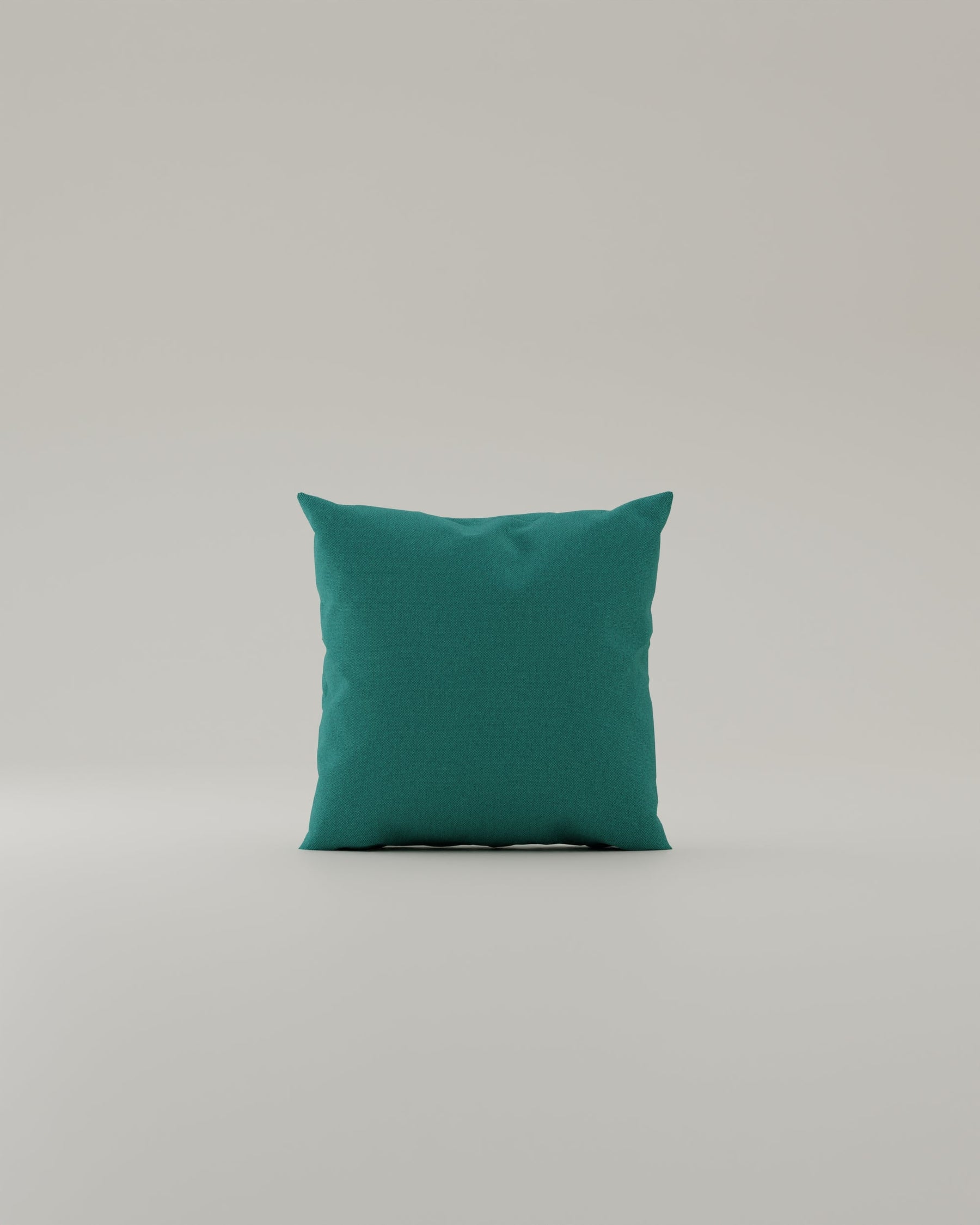 Decorative cushion Veluno