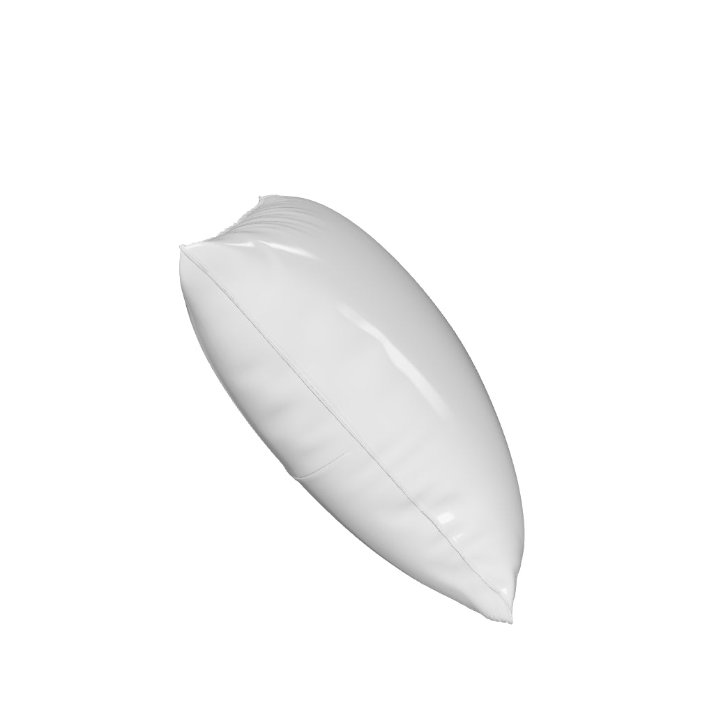 Louis Coussin PA 60x50cm